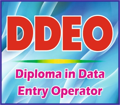 Diploma In data Entry perator